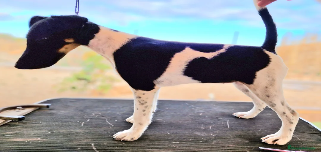 Imagen de galería {{count}}