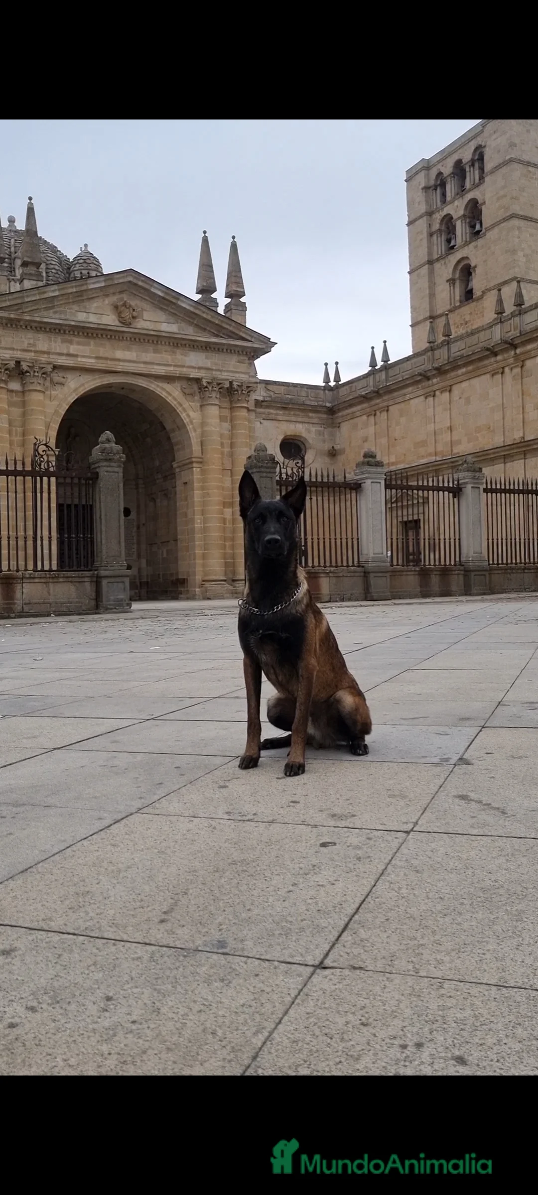 Imagen de galería {{count}}