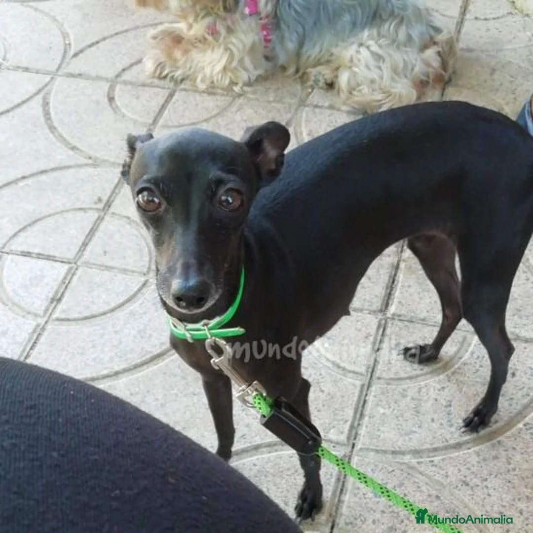 Imagen de galería {{count}}