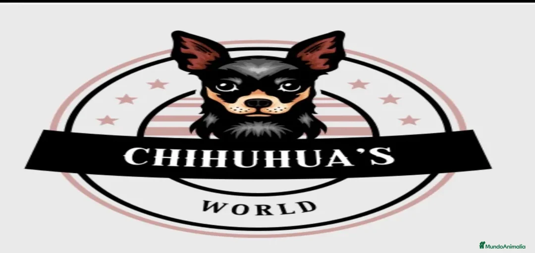 Imagen de galería {{count}}