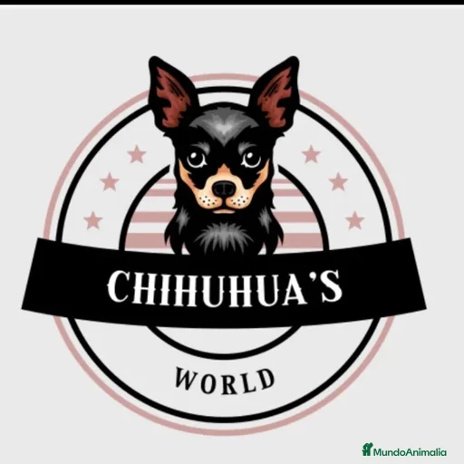 Imagen de galería {{count}}