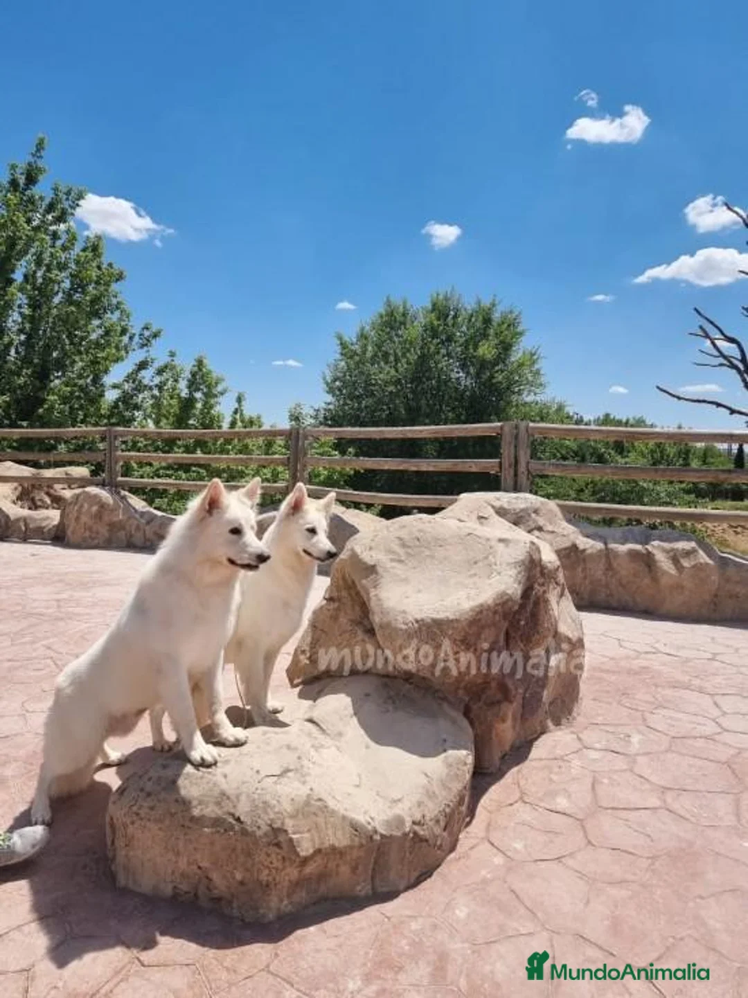 Imagen de galería {{count}}