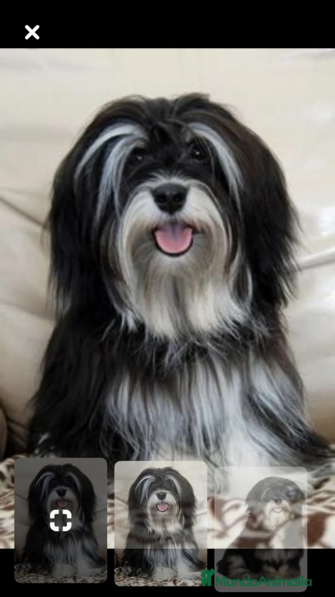 Imagen de galería {{count}}