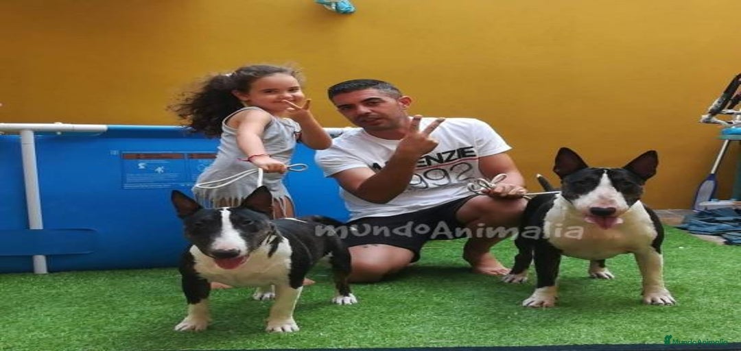 Imagen de galería {{count}}