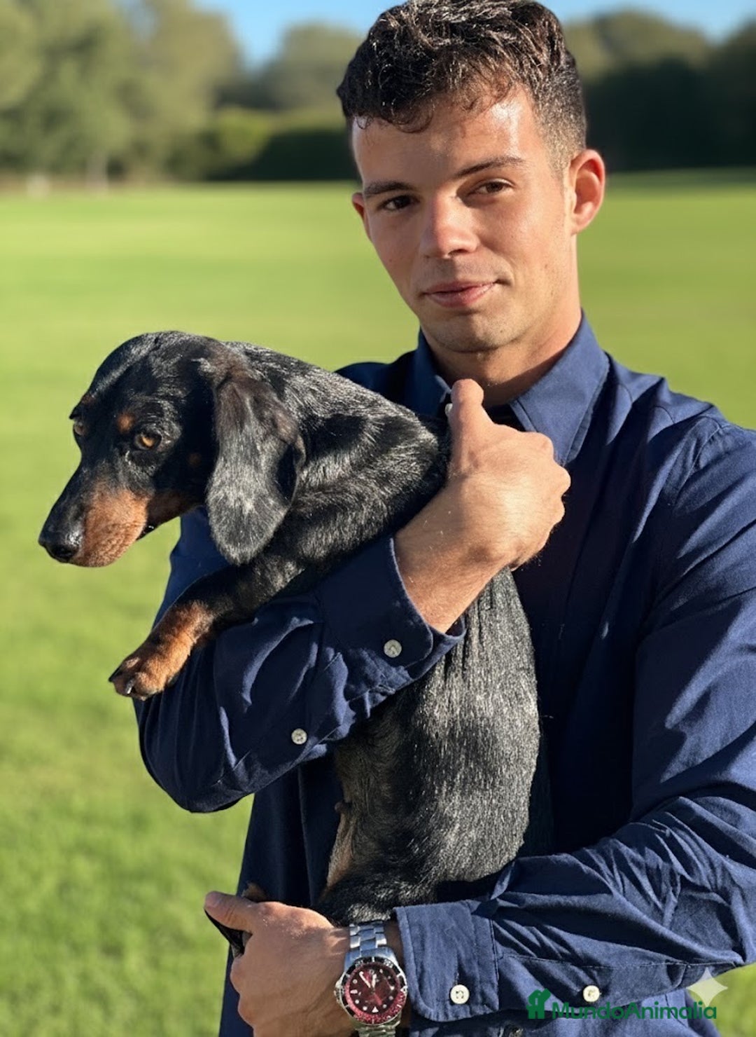 Imagen de galería {{count}}