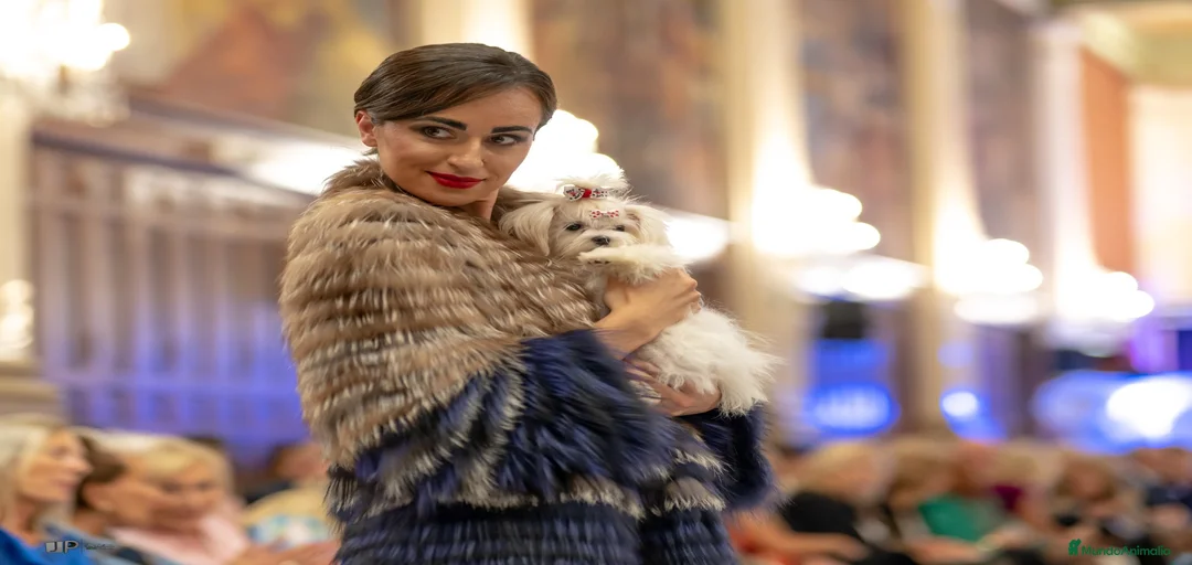 Imagen de galería {{count}}