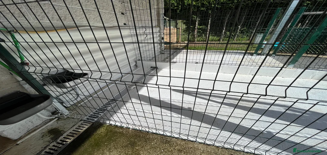 Imagen de galería {{count}}