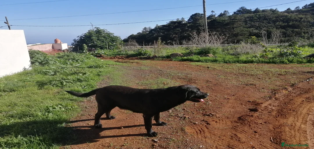 Imagen de galería {{count}}