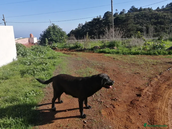 Imagen de galería {{count}}