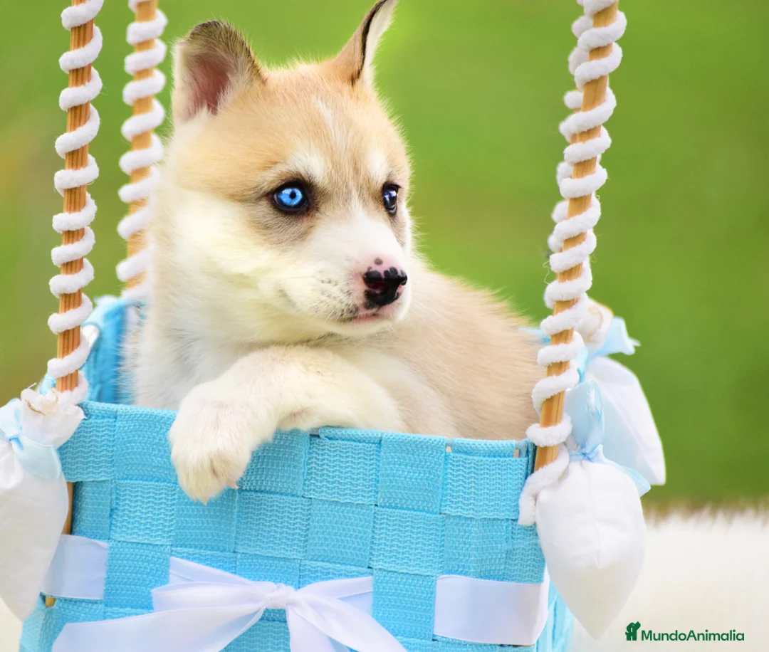 Imagen de galería {{count}}