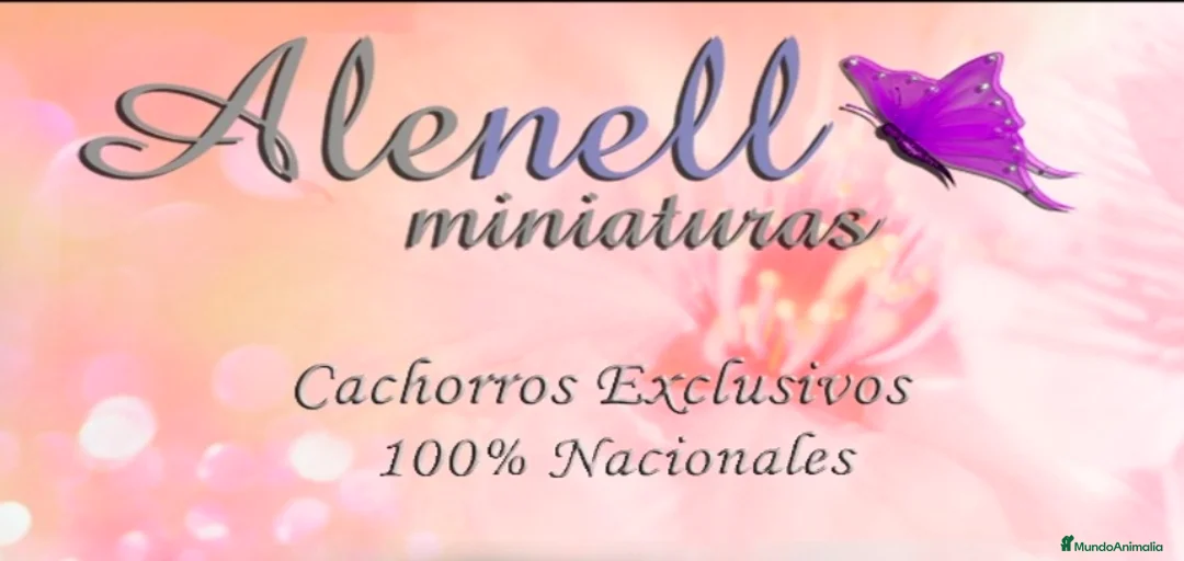 Imagen de galería {{count}}
