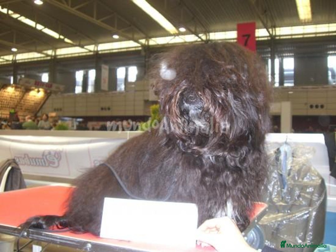 Imagen de galería {{count}}