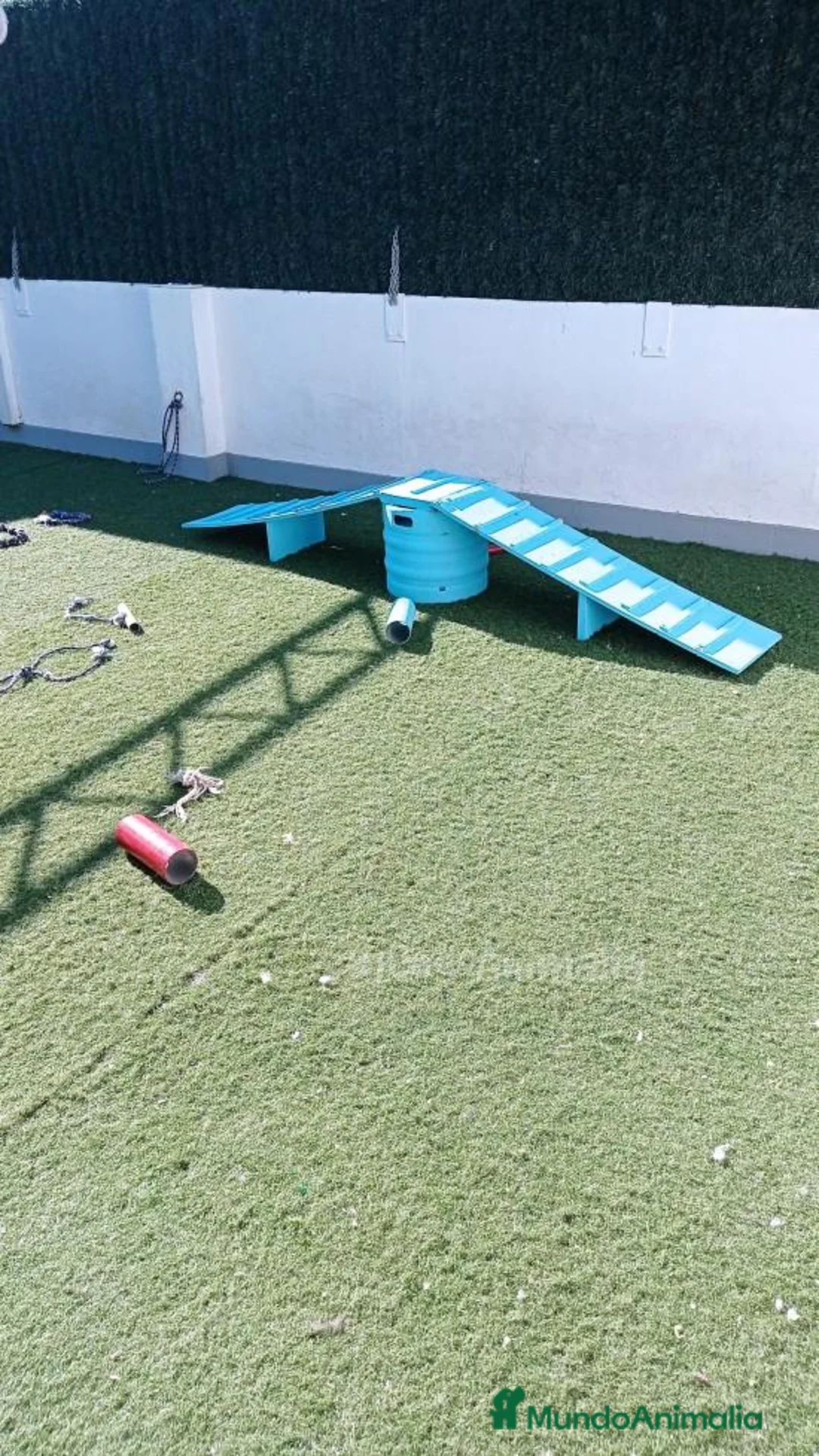 Imagen de galería {{count}}