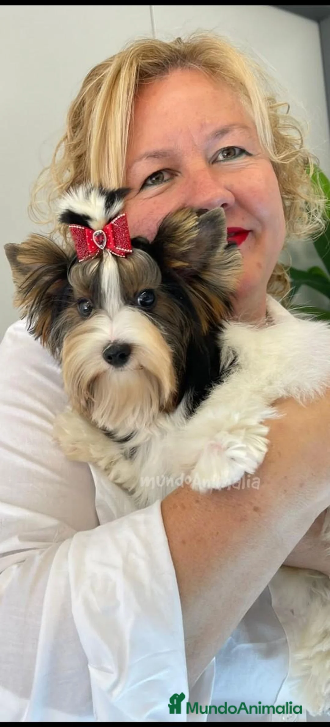 Imagen de galería {{count}}