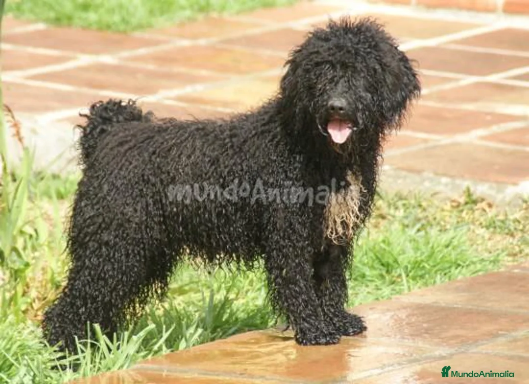 Imagen de galería {{count}}