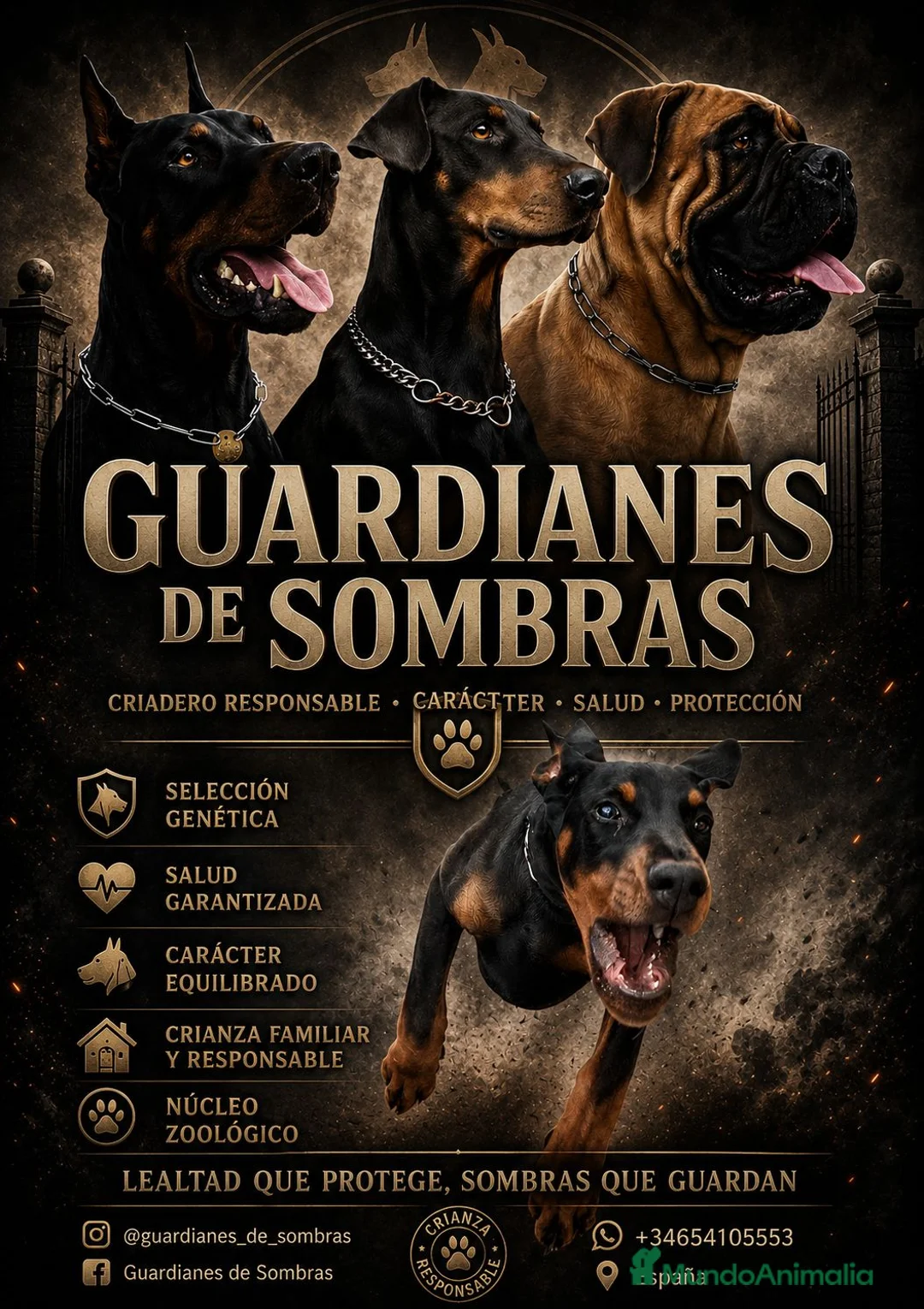Imagen de galería {{count}}