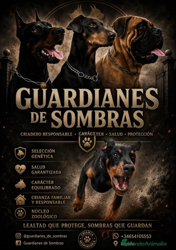 Imagen de galería {{count}}