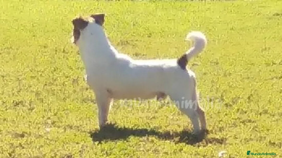 Imagen de galería {{count}}