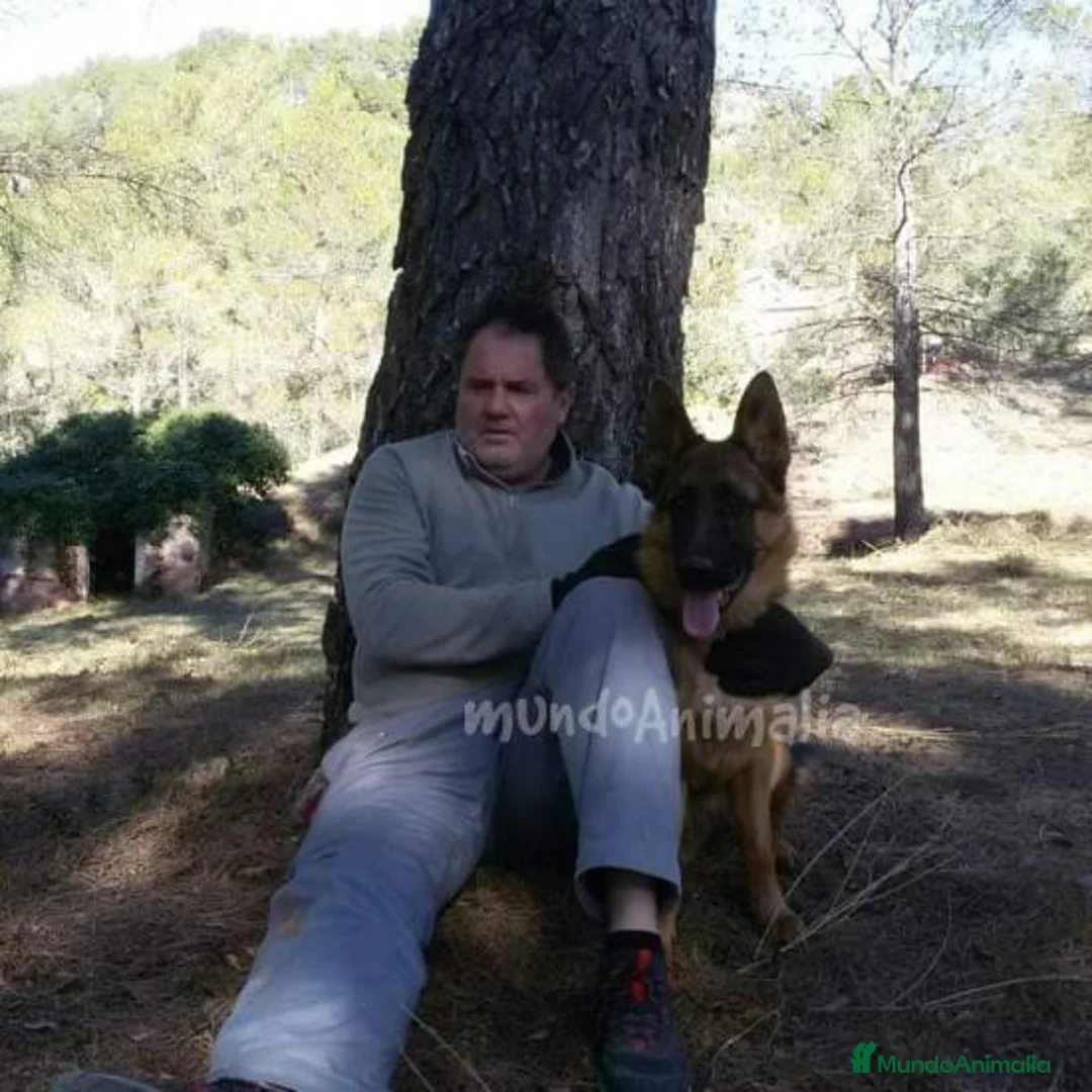 Imagen de galería {{count}}