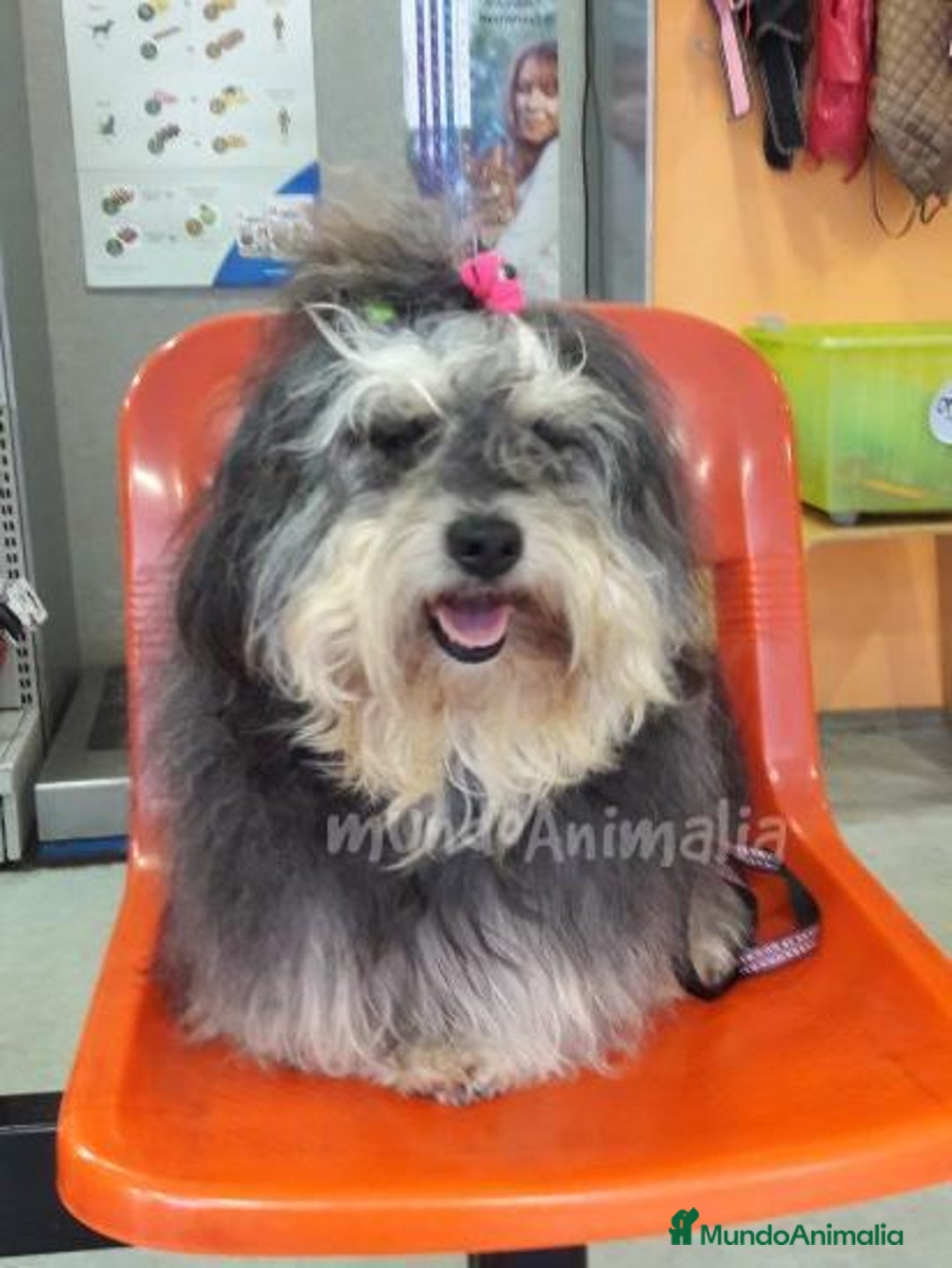 Imagen de galería {{count}}