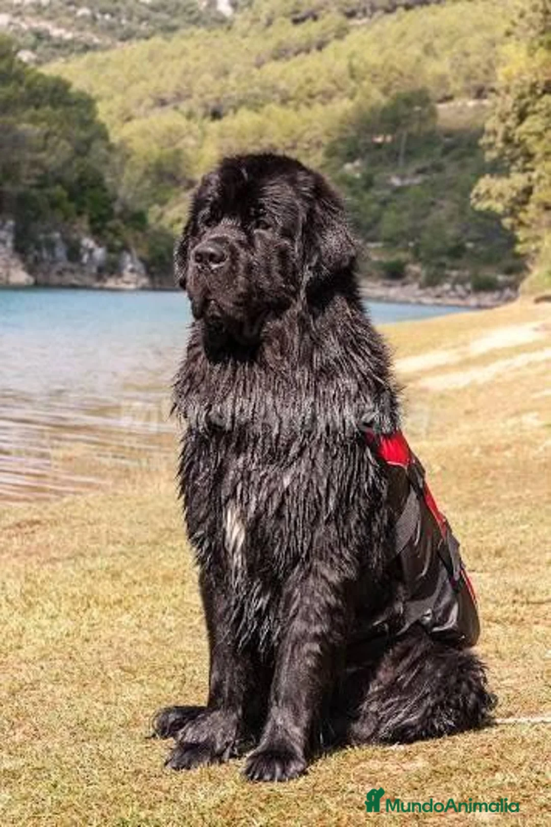 Imagen de galería {{count}}