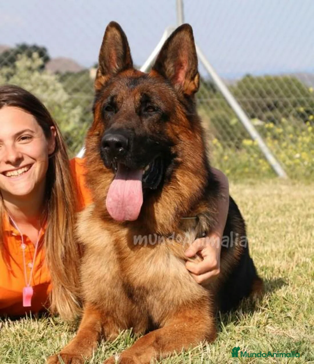 Imagen de galería {{count}}