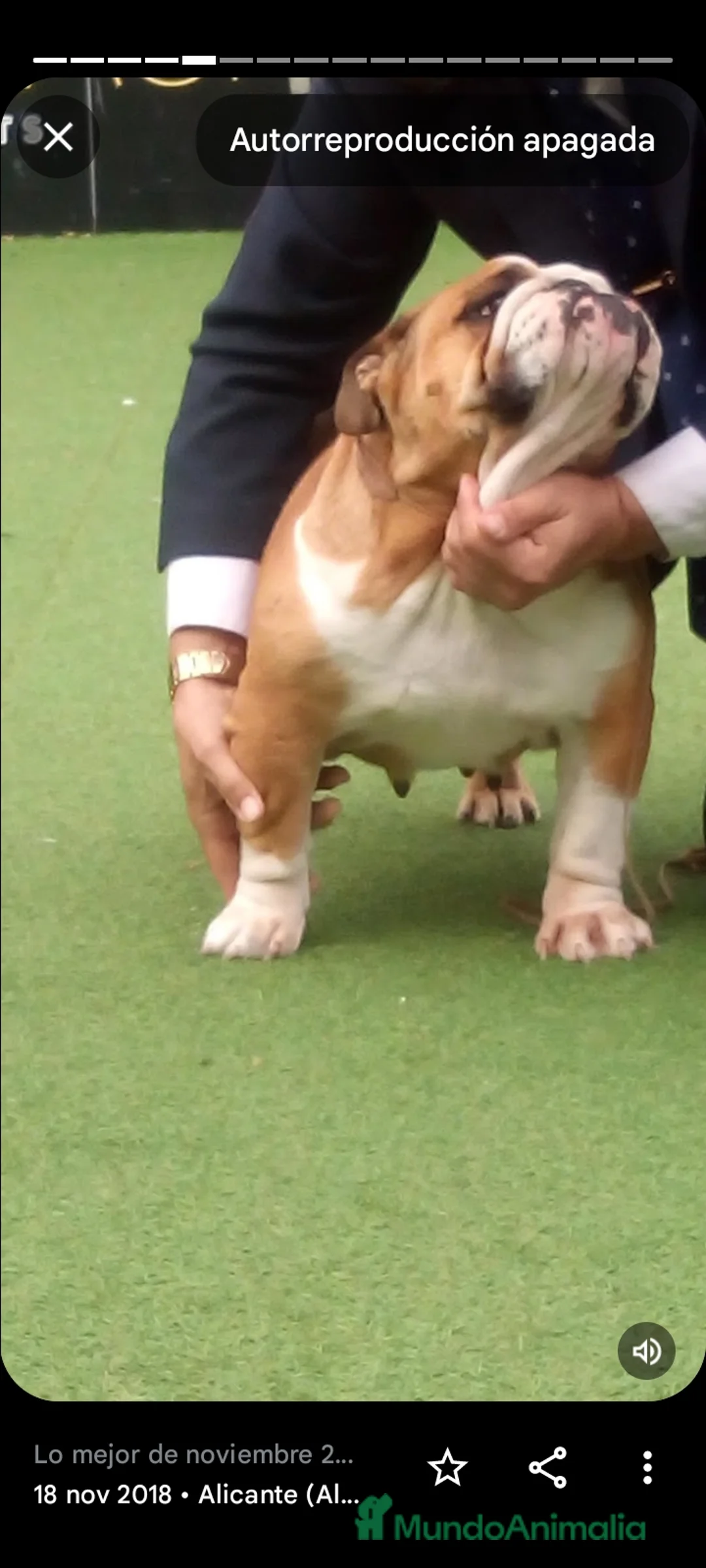 Imagen de galería {{count}}