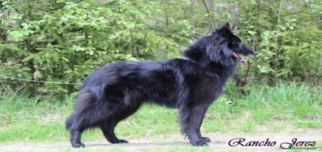 Imagen de galería {{count}}