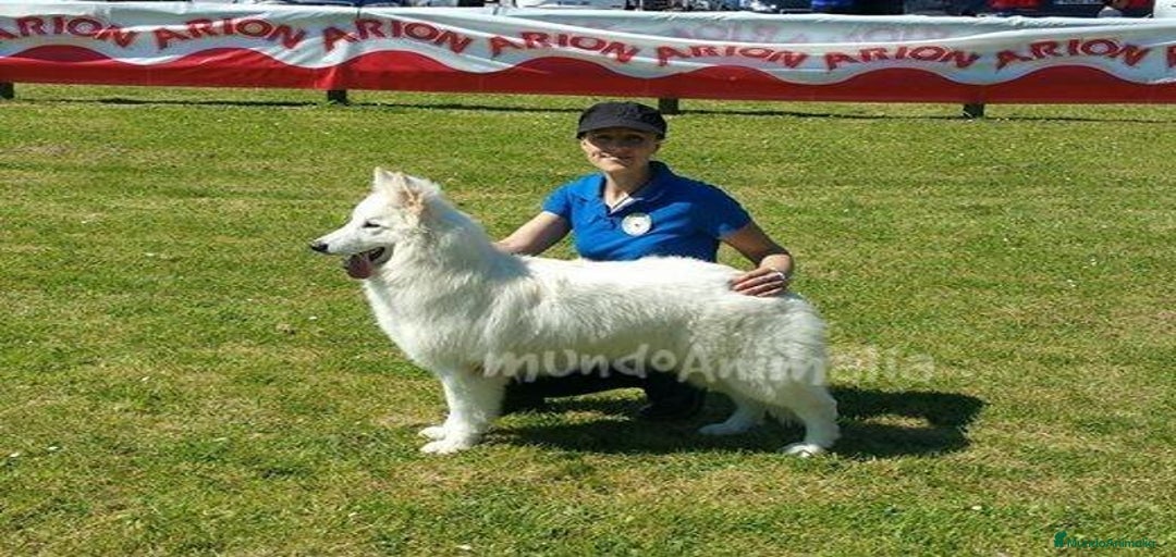 Imagen de galería {{count}}