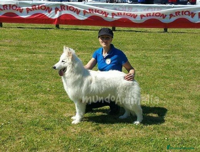 Imagen de galería {{count}}