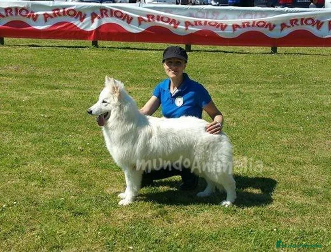 Imagen de galería {{count}}