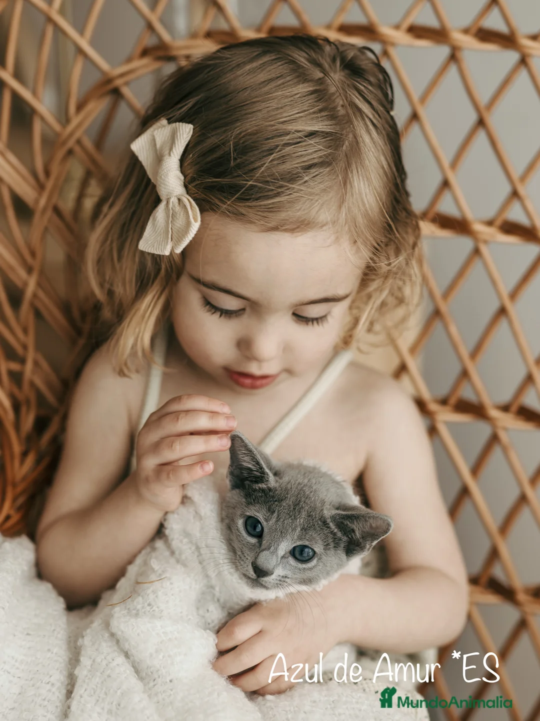 Imagen de galería {{count}}