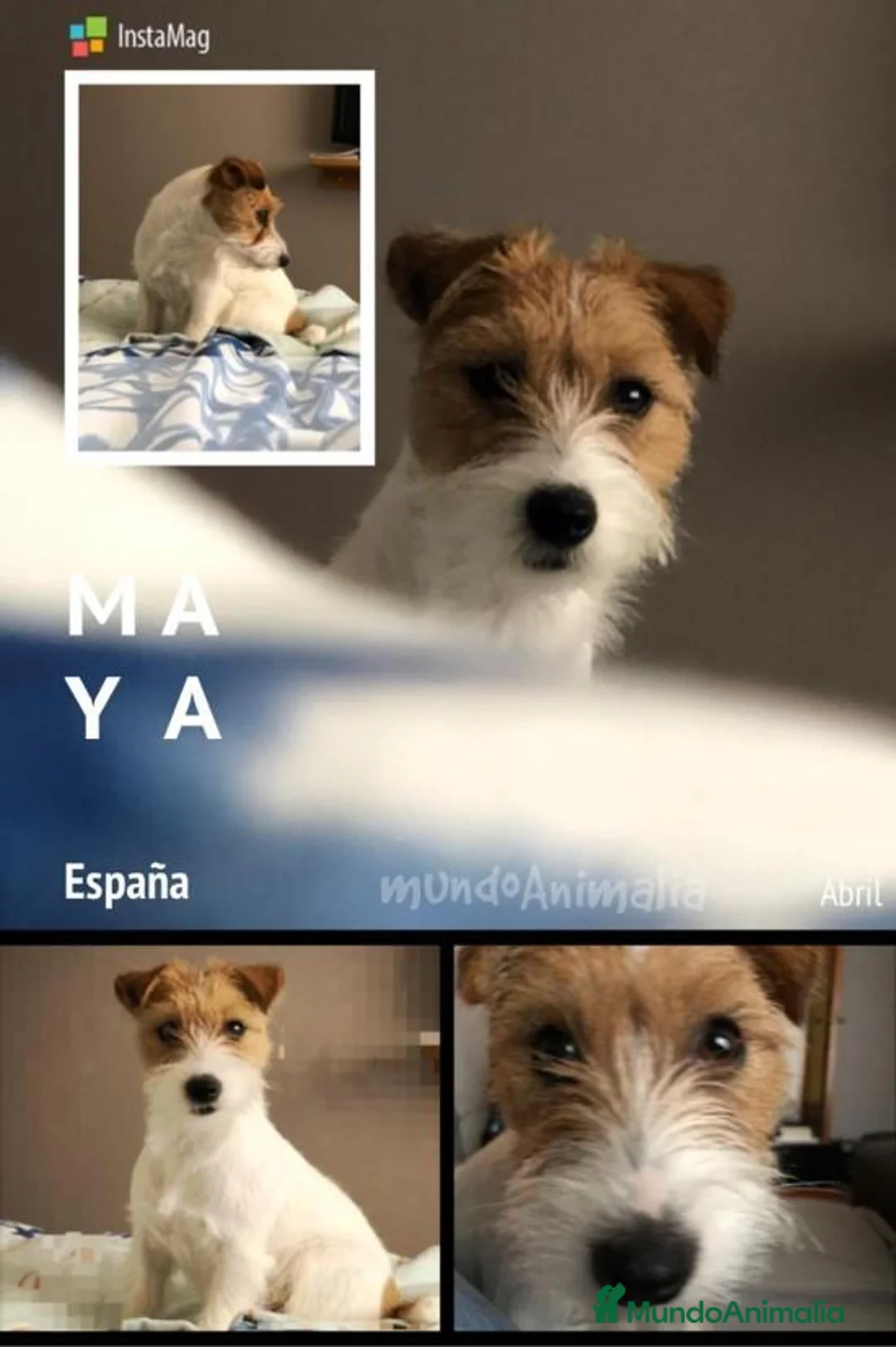 Imagen de galería {{count}}