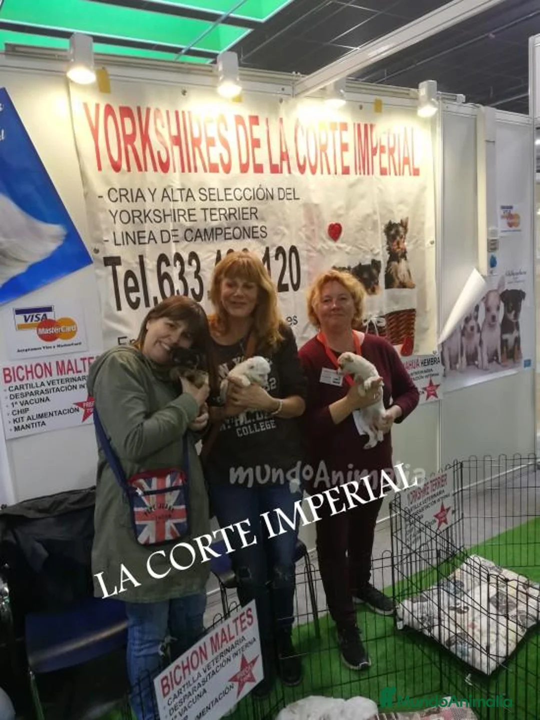 Imagen de galería {{count}}