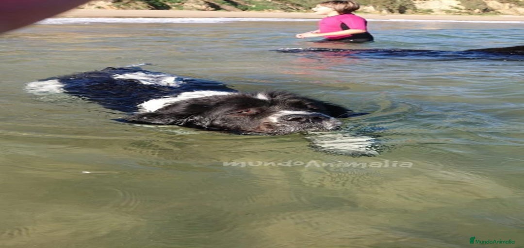 Imagen de galería {{count}}