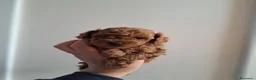 Caniche Toy perros en venta: Caniches toy  - Anuncio 5