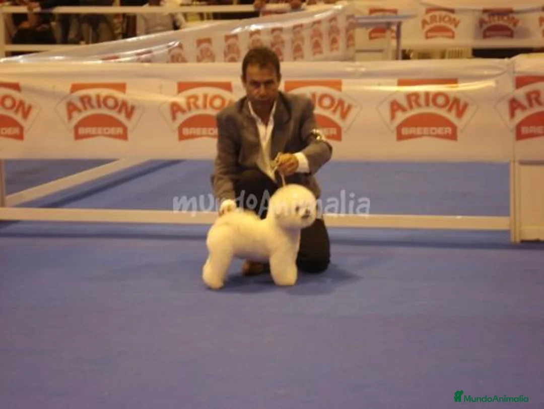 Imagen de galería {{count}}