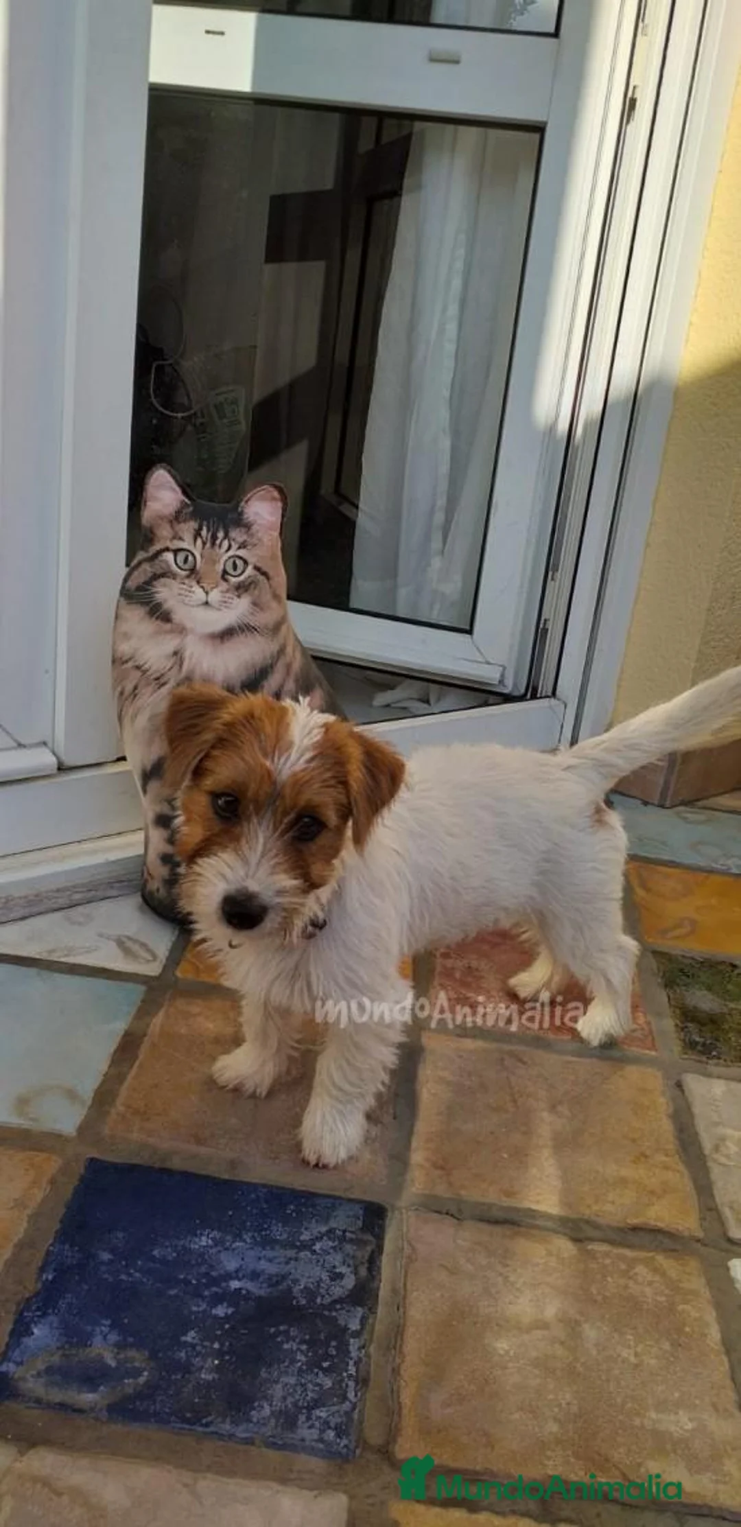 Imagen de galería {{count}}