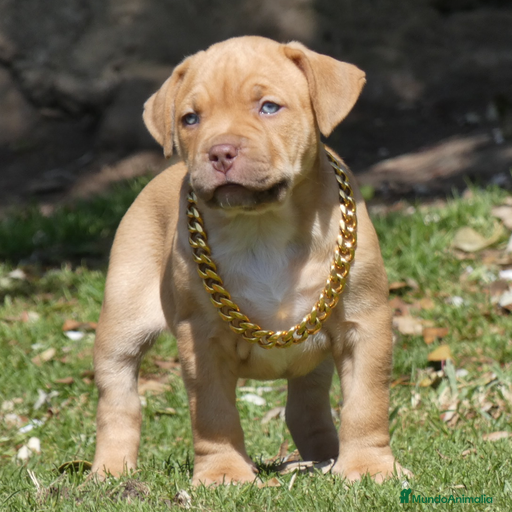 Imagen de galería {{count}}