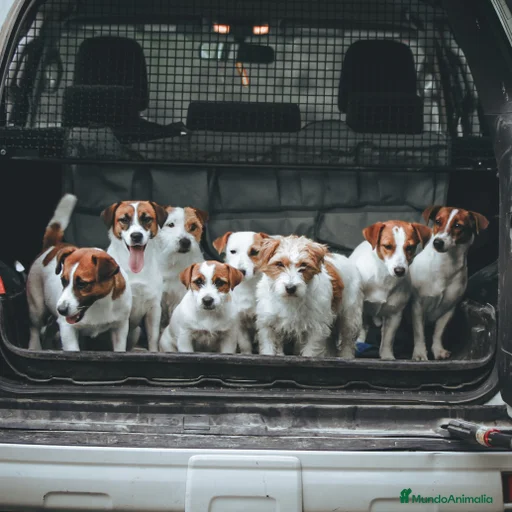 Imagen de galería {{count}}