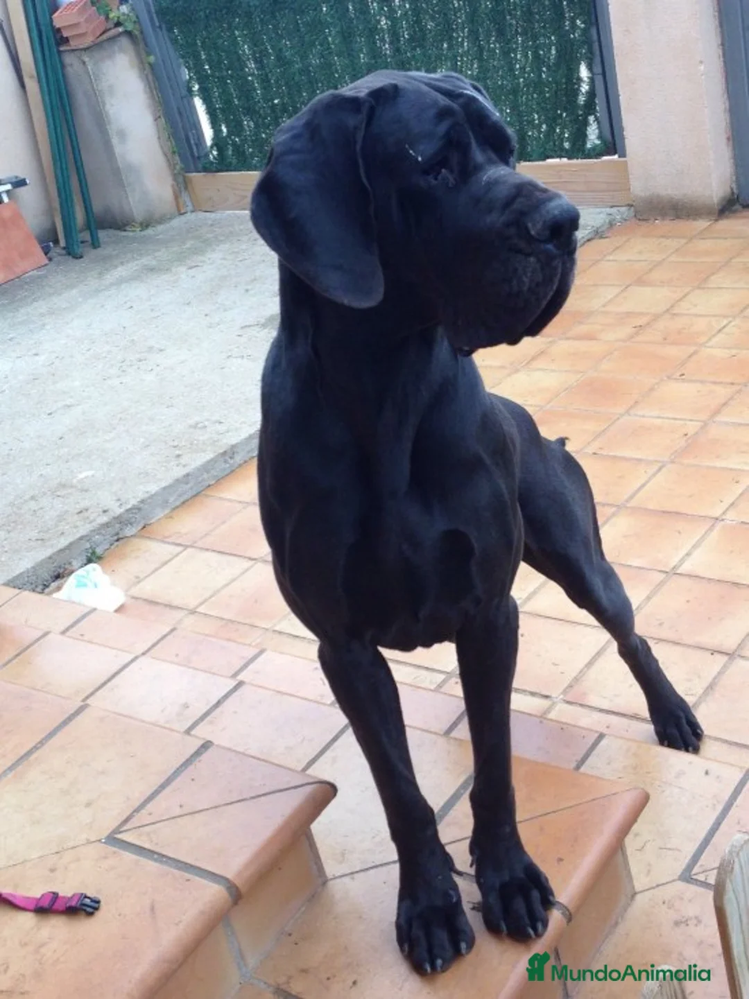 Imagen de galería {{count}}