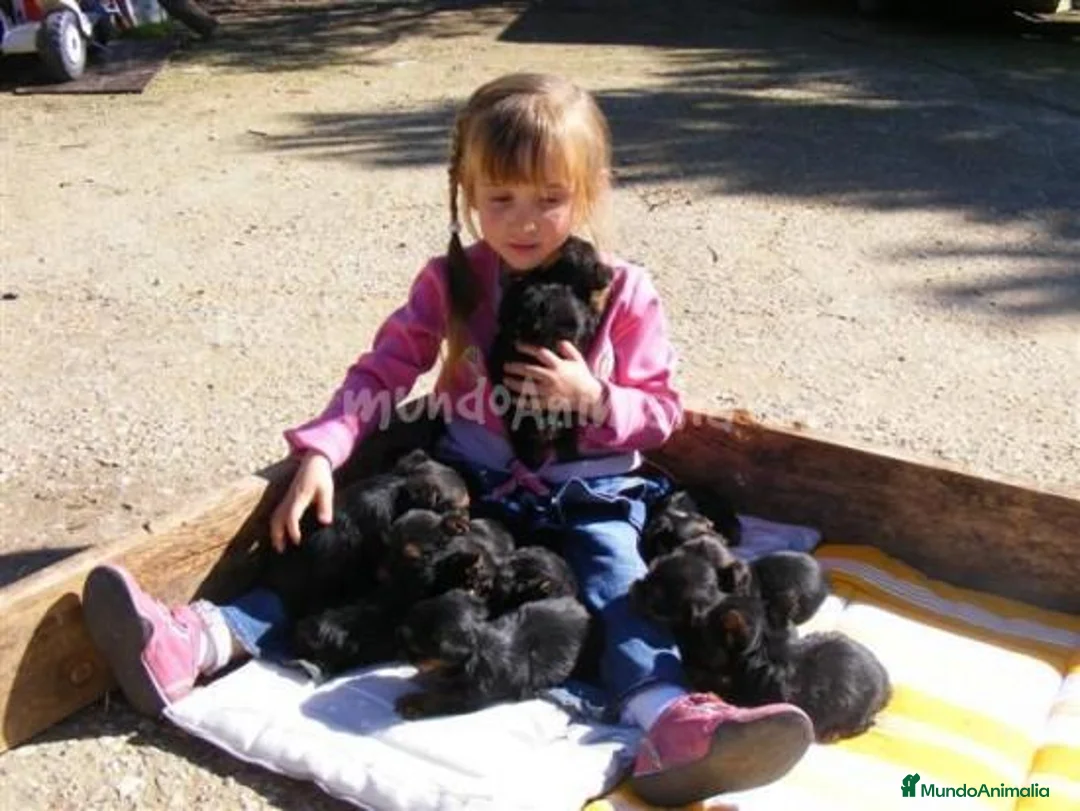 Imagen de galería {{count}}