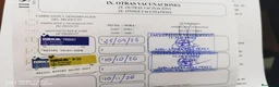 Pastor Alemán perros en venta: Cachorros pastor alemán Pedigree excelente  - Anuncio 3