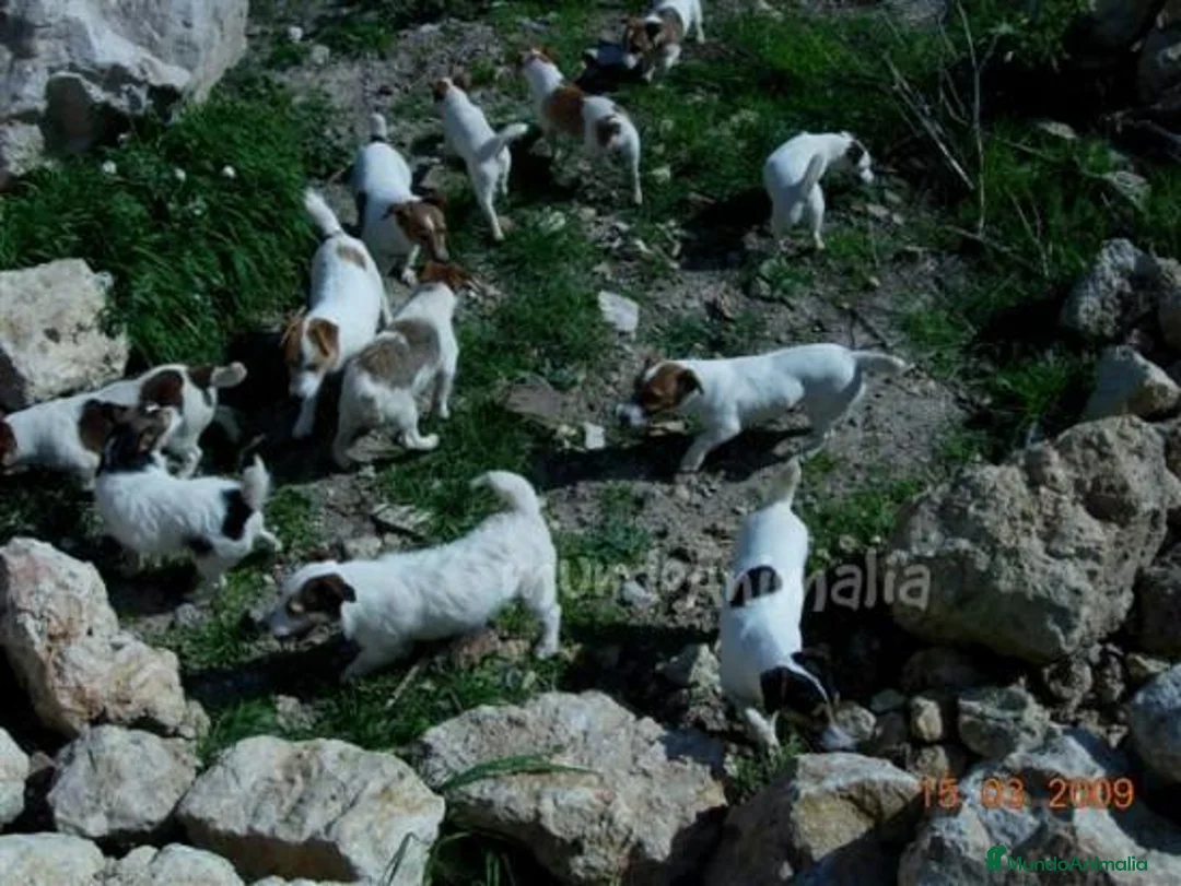 Imagen de galería {{count}}