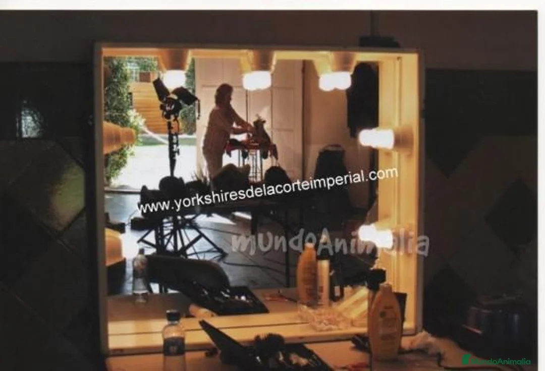 Imagen de galería {{count}}