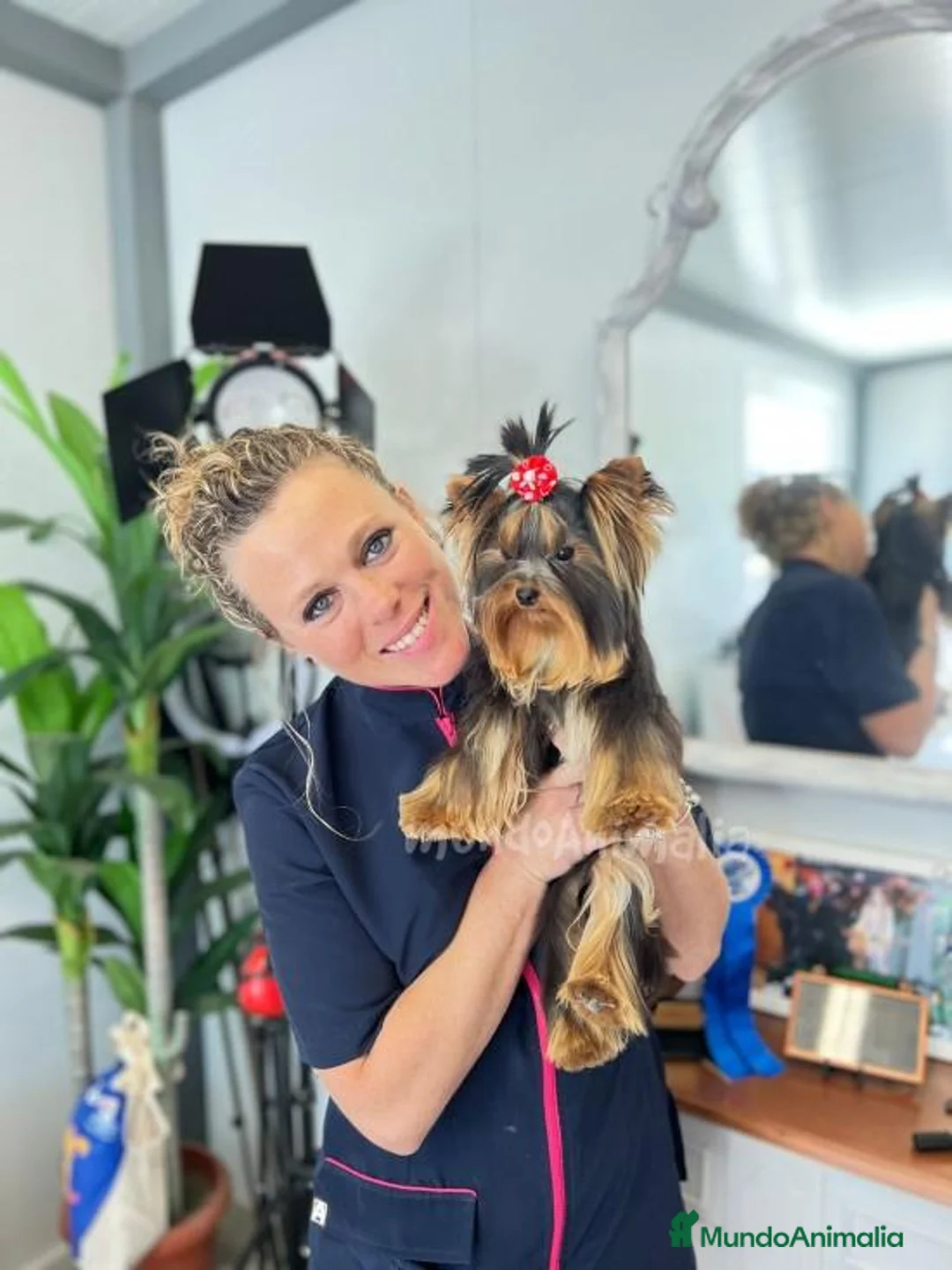 Imagen de galería {{count}}