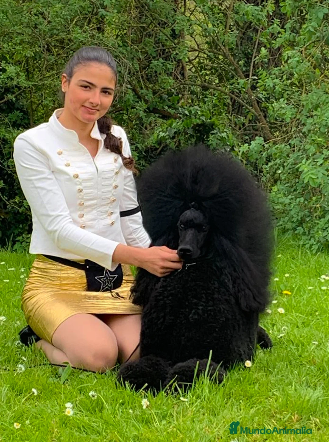 Imagen de galería {{count}}