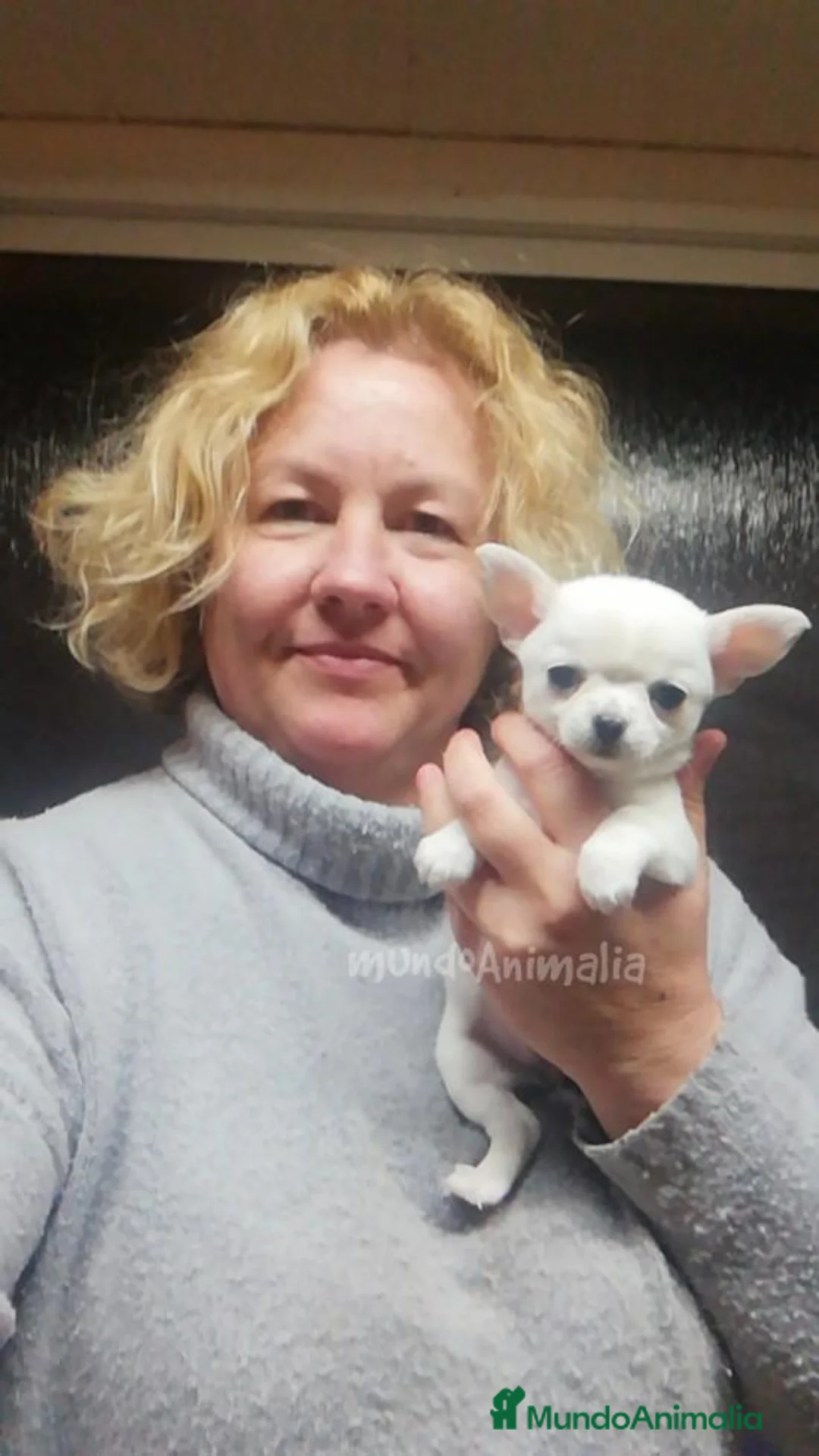 Imagen de galería {{count}}