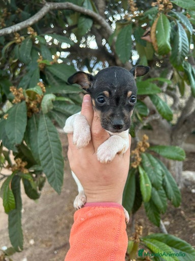 Imagen de galería {{count}}