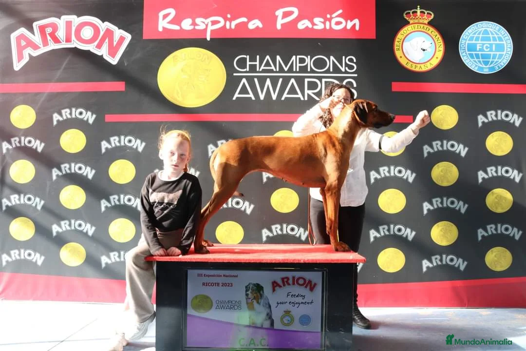 Imagen de galería {{count}}